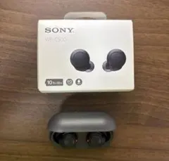 SONY WF-C500 ワイヤレスイヤホンのサムネイル