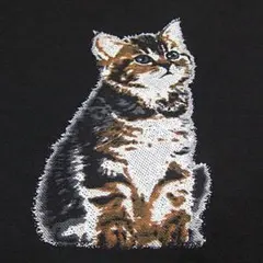 猫デザイン 半幅帯 リバーシブル箱付き 西陣 田中伝 人気の半幅帯