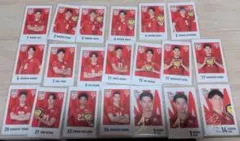 キャラポトレ バレーボール男子日本代表 ノーマル＆箔押しサイン入り 20枚セット