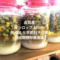 高知産 梅シロップ 酵素シロップ 化学肥料不使用 栽培期間中無農薬 無添加のサムネイル