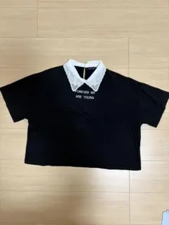 CHIPCLIP アベイル レース襟つきTシャツLサイズ