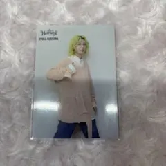 Mrs. GREEN APPLE フォトカード 040