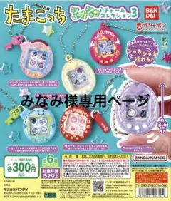 専用ページ