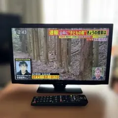 希少品】シャープ DVDカラオケテレビ DV-14K100 おまけ付 - メルカリ