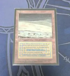 2025年最新】tundra mtgの人気アイテム - メルカリ