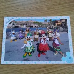 トロスプ スペフォ