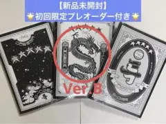 Stray Kids 5-star プレオーダー 特典 新品未開封 アルバム B