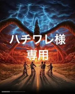 ハチワレ様専用