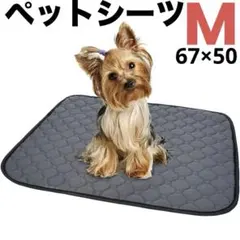 ペットシーツ 洗える 猫 犬用 おしっこパッド ペット用 トイレ グレーMのサムネイル