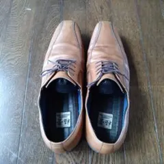 Item thumbnail for item 30bbefd3-4f47-4d3c-91d7-be258c567e34