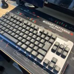 Logicool SIGNATURE K855 メカニカルキーボード【完品】