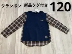 Item thumbnail for item d31a982a-8a0f-404a-9c9a-cd60bcae1b49