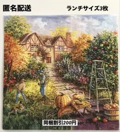 norinori様 リクエスト 10点 まとめ商品