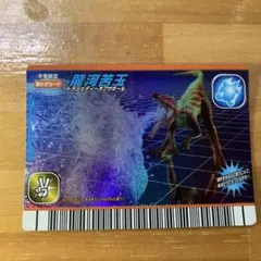 TACAN【プロフ必読】様 リクエスト 6点 まとめ商品