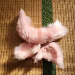 Item thumbnail for item d167bc18-fb22-4ac2-a270-7250a1988292