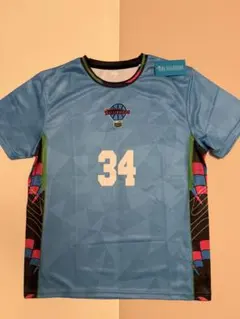 Item thumbnail for item 997f16a7-c7df-44b5-b084-e9f881e32f39