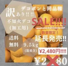 サクラさん★専用