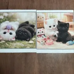 ゆーー様　専用です。