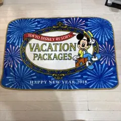 【未使用】東京ディズニーリゾート バケパ　ブランケット②のサムネイル