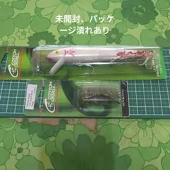 Item thumbnail for item b2317ddb-f310-4f1d-b273-72198f3769d8