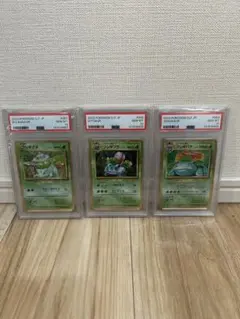 【３連番】フシギダネ フシギソウ フシギバナ classicPSA 10のサムネイル