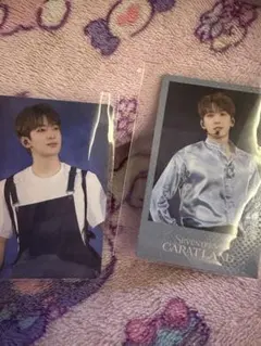 SEVENTEEN CARAT LAND 2024 VOD ウォヌ　トレカ