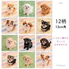new★mいつも一緒＊小さめ／13cm 12柄オリジナルパネル生地