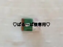 ♡ぱるーぱ様専用♡