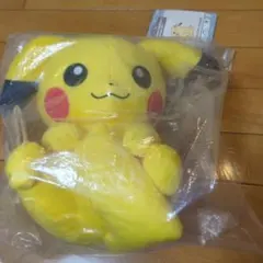 一番くじ ポケモン ひなたぼっこピカチュウ ぬいぐるみ A賞