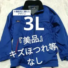 Item thumbnail for item cef6ccaa-73e7-4a66-9f1b-e3572acfb028