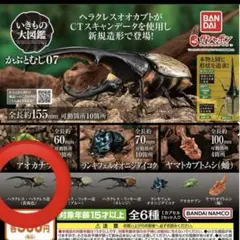 おかぴライフ様専用