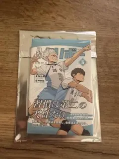 ハイキュースクエア缶バッチセレクション月刊バレボー