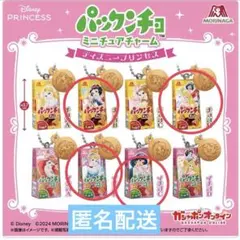 パックンチョ　ミニチュアチャーム　ディズニープリンセス ４個セット