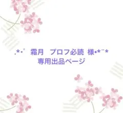 霜月 プロフ必読 様 専用出品