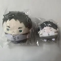 き*う様 ハイキュー 赤葦京治 ぬいくじ くじメイト ふわコロりん てのりんずコ