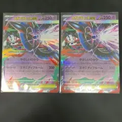 メガフラエッテex RR 2枚セット 035/083