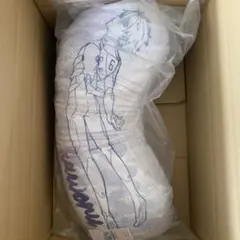 クッション 渚カヲルx仮面ライダー第2号 - メルカリ
