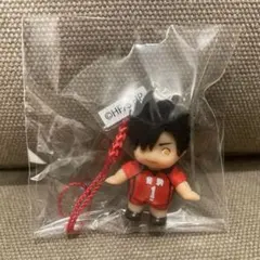 黒尾鉄朗　ハイキュー!! コスチュームキューピーVol.2 匿名配送