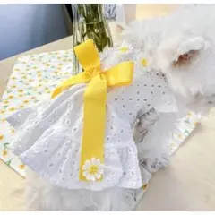 犬服　ワンピース