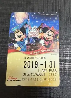 【超希少・使用済】リゾラ フリーきっぷ 2019 正月 TDR35周年 ミッキー