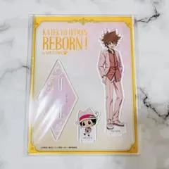 家庭教師ヒットマンREBORN! ナンジャタウン アクリルスタンド 沢田綱吉