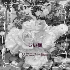 しい様 リクエスト商品　２点
