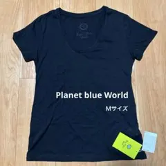 Item thumbnail for item b41163c0-74e1-486a-abd8-b98a9be0ff09