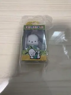 サンリオ　チョコボックス　ポチャッコ