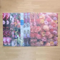 Item thumbnail for item e4b0762c-8028-4d81-9a7f-e44790ce9808