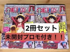 ONE PIECE magazine ワンピースマガジン 20号 プロモ付 2冊
