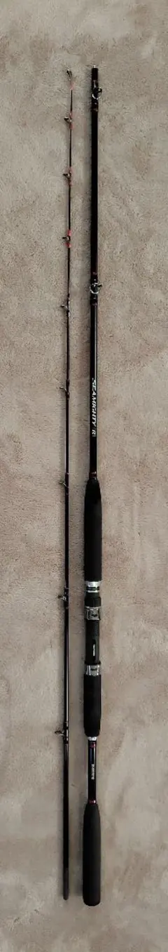 2025年最新】ショアジギングロッドの人気アイテム - メルカリ