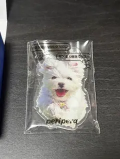 ペリペラ マルチーズ スマホグリップ