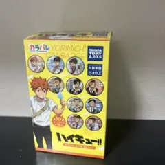 ☆新品☆カラパレ ハイキュー! より道 缶バッジ 全10種 コンプリート
