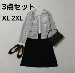 【3点セット 大きいサイズ】アンタイトル ノーカラージャケット XL 2XL